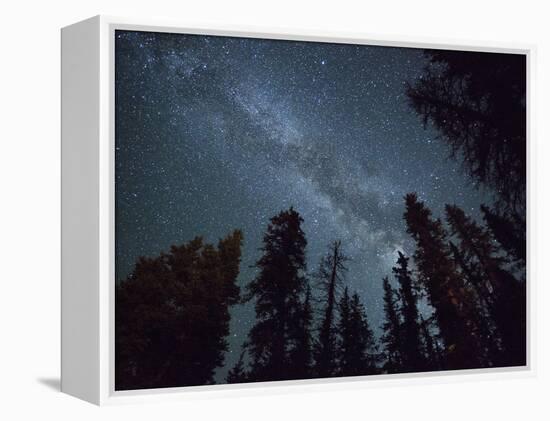 The Milky Way Shines Above the Forest in the San Juan Mountains of Southern Colorado.-Ryan Wright-Framed Premier Image Canvas