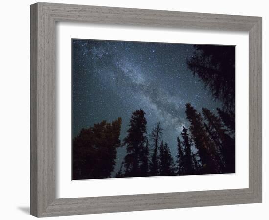 The Milky Way Shines Above the Forest in the San Juan Mountains of Southern Colorado.-Ryan Wright-Framed Photographic Print