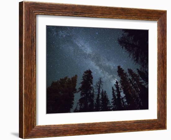 The Milky Way Shines Above the Forest in the San Juan Mountains of Southern Colorado.-Ryan Wright-Framed Photographic Print