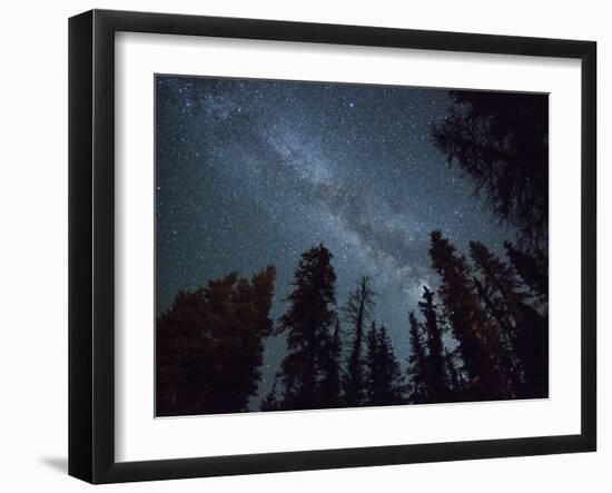 The Milky Way Shines Above the Forest in the San Juan Mountains of Southern Colorado.-Ryan Wright-Framed Photographic Print