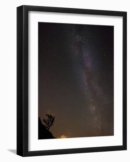 The Milky Way Viewed in the Night Sky over a Lone Silhouetted Tree, United Kingdom, Europe-Ian Egner-Framed Photographic Print