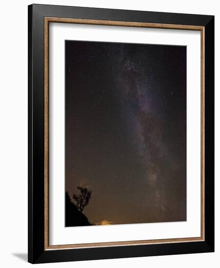 The Milky Way Viewed in the Night Sky over a Lone Silhouetted Tree, United Kingdom, Europe-Ian Egner-Framed Photographic Print