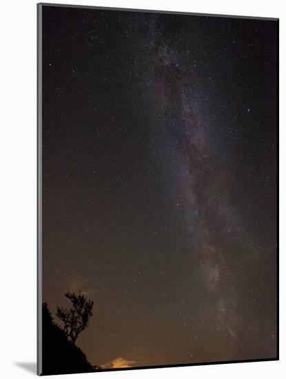 The Milky Way Viewed in the Night Sky over a Lone Silhouetted Tree, United Kingdom, Europe-Ian Egner-Mounted Photographic Print