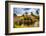 The Mill, Hobbiton, North Island, New Zealand, Pacific-Laura Grier-Framed Photographic Print