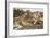 The Mill-John Roddam Spencer Stanhope-Framed Giclee Print
