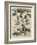 The Millenial Festival in Iceland-Samuel Edmund Waller-Framed Giclee Print