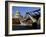 The Millennium Bridge Across the River Thames, with St. Paul's Cathedral Beyond, London, England-David Hughes-Framed Photographic Print
