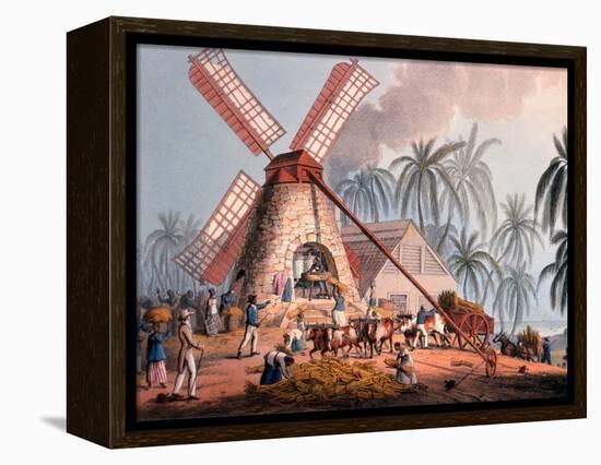 The Millyard, from 'ten Views in the Island of Antigua', 1823-William Clark-Framed Premier Image Canvas