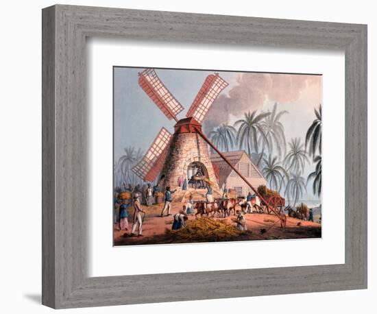 The Millyard, from 'ten Views in the Island of Antigua', 1823-William Clark-Framed Giclee Print