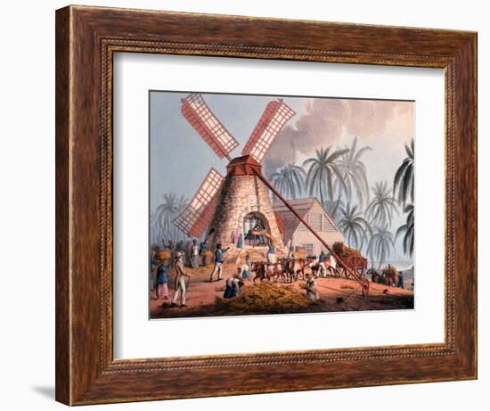 The Millyard, from 'ten Views in the Island of Antigua', 1823-William Clark-Framed Giclee Print