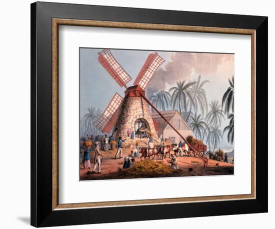 The Millyard, from 'ten Views in the Island of Antigua', 1823-William Clark-Framed Giclee Print