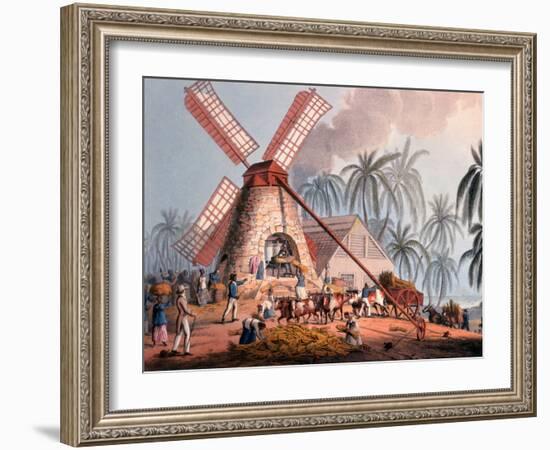 The Millyard, from 'ten Views in the Island of Antigua', 1823-William Clark-Framed Giclee Print