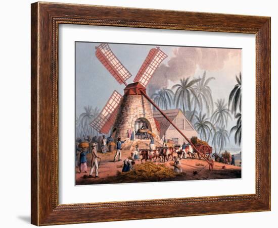 The Millyard, from 'ten Views in the Island of Antigua', 1823-William Clark-Framed Giclee Print