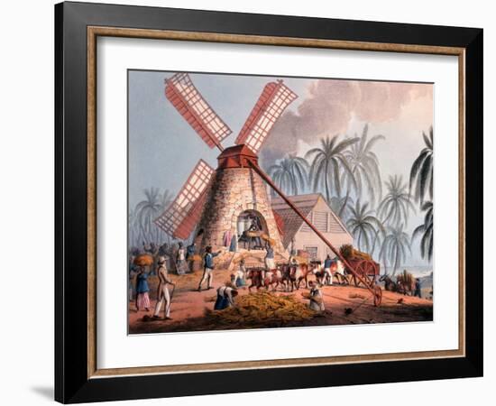 The Millyard, from 'ten Views in the Island of Antigua', 1823-William Clark-Framed Giclee Print