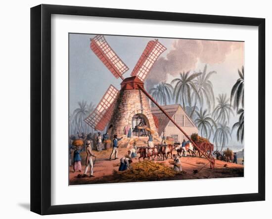 The Millyard, from 'ten Views in the Island of Antigua', 1823-William Clark-Framed Giclee Print