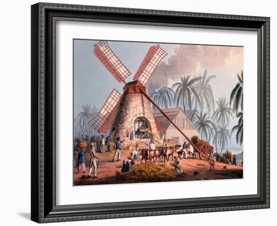 The Millyard, from 'ten Views in the Island of Antigua', 1823-William Clark-Framed Giclee Print