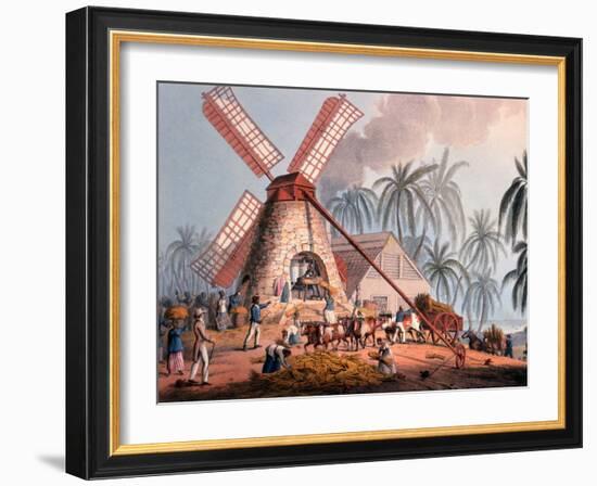 The Millyard, from 'ten Views in the Island of Antigua', 1823-William Clark-Framed Giclee Print