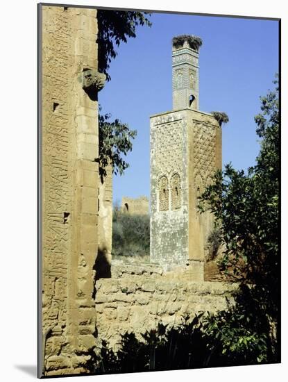The minaret of one of the two mosques which lie inside the Chellah Necropolis-Werner Forman-Mounted Giclee Print