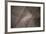 The Mindful Curve-Doug Chinnery-Framed Photographic Print