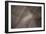 The Mindful Curve-Doug Chinnery-Framed Photographic Print