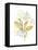 The Minimalist Garden II-June Vess-Framed Stretched Canvas