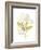 The Minimalist Garden II-June Vess-Framed Art Print