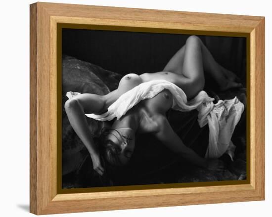 The Miracle of Silver Halides-Wunderskatz-Framed Premier Image Canvas