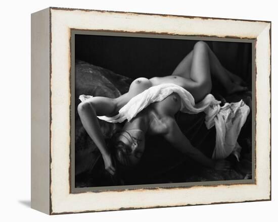 The Miracle of Silver Halides-Wunderskatz-Framed Premier Image Canvas