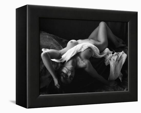 The Miracle of Silver Halides-Wunderskatz-Framed Premier Image Canvas