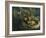 The Miracles of St, Walburga, after 1610-Peter Paul Rubens-Framed Giclee Print