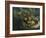 The Miracles of St, Walburga, after 1610-Peter Paul Rubens-Framed Giclee Print