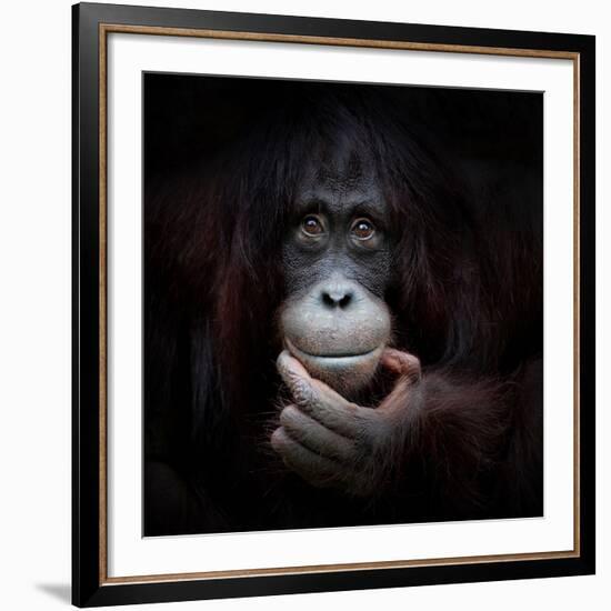 THE MIRROR IMAGE-Antje Wenner-Braun-Framed Art Print