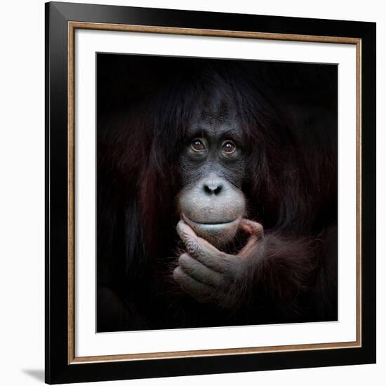 THE MIRROR IMAGE-Antje Wenner-Braun-Framed Art Print