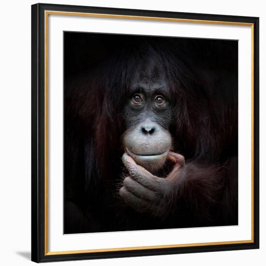 THE MIRROR IMAGE-Antje Wenner-Braun-Framed Art Print