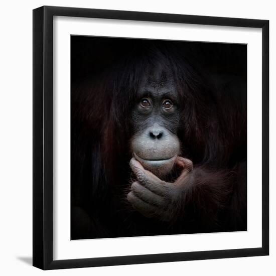 The Mirror Image-Antje Wenner-Braun-Framed Photographic Print