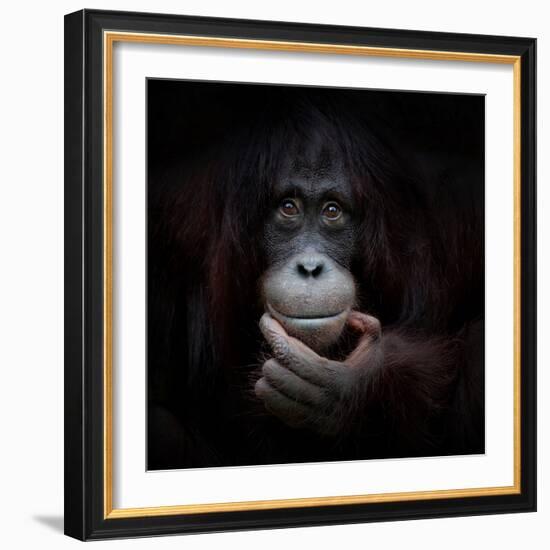 The Mirror Image-Antje Wenner-Braun-Framed Photographic Print