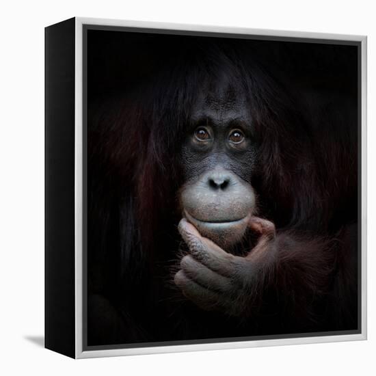 The Mirror Image-Antje Wenner-Braun-Framed Premier Image Canvas