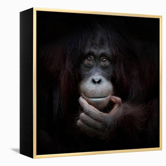 The Mirror Image-Antje Wenner-Braun-Framed Premier Image Canvas