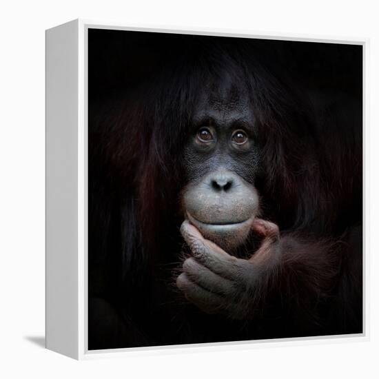 The Mirror Image-Antje Wenner-Braun-Framed Premier Image Canvas