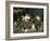 The Mischievous Cats-Charles Van Den Eycken-Framed Giclee Print