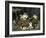 The Mischievous Cats-Charles Van Den Eycken-Framed Giclee Print