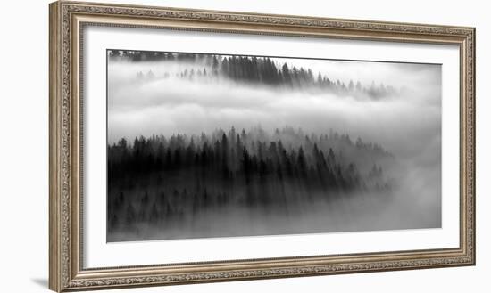 The Mist B+W-Bjorn Wennerwald-Framed Giclee Print