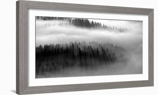 The Mist B+W-Bjorn Wennerwald-Framed Giclee Print