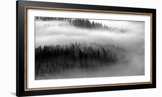 The Mist B+W-Bjorn Wennerwald-Framed Giclee Print