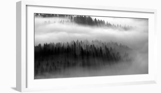 The Mist B+W-Bjorn Wennerwald-Framed Giclee Print