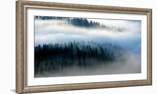 The Mist-Bjorn Wennerwald-Framed Giclee Print