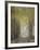 The Mist-Williams-Framed Giclee Print