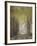 The Mist-Williams-Framed Giclee Print