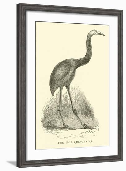 The Moa, Dinornis-null-Framed Giclee Print