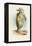 The Mock Turtle, 1930-John Tenniel-Framed Premier Image Canvas